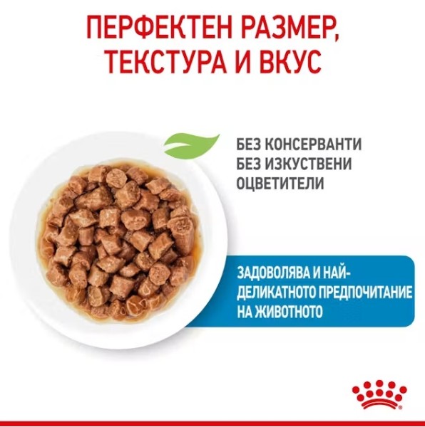 Royal Canin X-small Puppy Pouch - Пълноценна мокра храна за подрастващи кучета от миниатюрни породи до 10 месеца